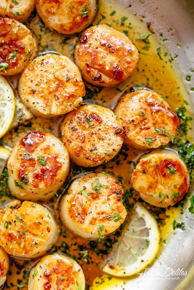Scallops