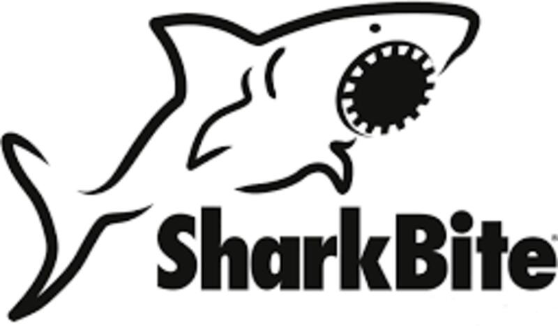 Shark Bite
